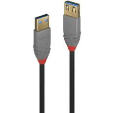 Lindy Anthra Line USB A-USB A 3.1 Gen.1 M-F 9.8ft