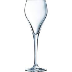 Arcoroc Champagneglass Arcoroc Brio Champagneglass 9.5cl 6st