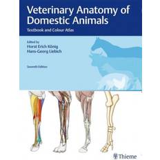 Veterinary Anatomy of Domestic Animals (Hardcover, 2020)