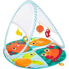 Fisher Price Babygym Fisher Price Fold & Go Portable Gym