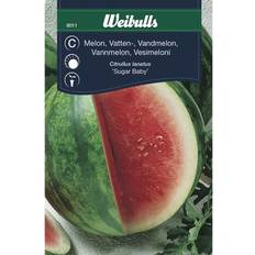Frukt- & Bærfrø Weibulls Watermelon