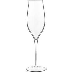 Luigi Bormioli Vinea Prosecco Champagne Glass 20cl 2pcs