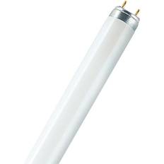 Billig Lysstoffrør Osram Lumilux T8 Fluorescent Lamp 36W G13 830