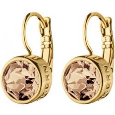 Brun Smykker Dyrberg/Kern Louise Earpost Earrings - Gold