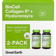 Great Earth Biocell Collagen II + Hyaluronsyra 120 st