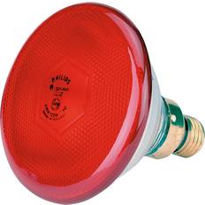 Dimbare Glødepærer Philips PAR38 IR Red Incandescent Lamp 100W E27