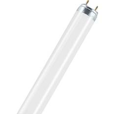 Rør Lyskilder LEDVANCE L Fluorescent Lamp 36W G13 76