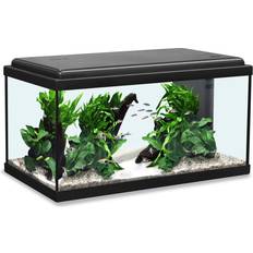 Fische & Reptilien Haustiere Aquatlantis Advance 60 LED Aquarium