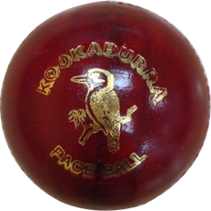 Cricketbälle Kookaburra Paceball 156g