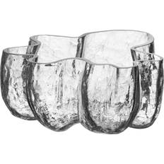 Glass Serving Bowls Kosta Boda Crackle Serving Bowl