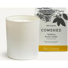 Cowshed Replenish Room Multicolor 16oz