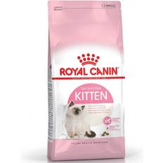 Kattemat Husdyr Royal Canin Kitten 10kg