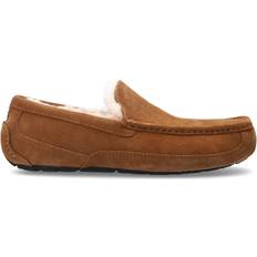 44 ½ Loafers UGG Ascot - Chestnut
