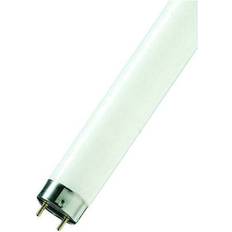 LEDVANCE Lumilux T8 Fluorescent Lamps 15W G13