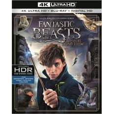 Fantasy Filmer Fantastic Beasts And Where To Find Them