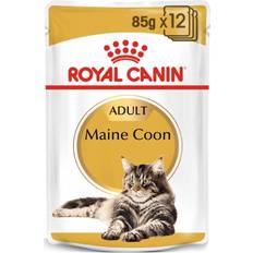 Royal canin maine coon Royal Canin Maine Coon 12x85g