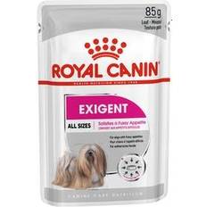 Royal Canin Nassfutter Haustiere Royal Canin Exigent Care