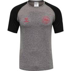 Denmark T-shirts Hummel Denmark Euro Pro Seamless Training T Shirt 2020 Sr