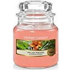 Yankee Candle The Last Paradise Small Duftlys 104g