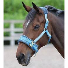 Shires Halters & Lead Ropes Shires Fleece Lined Lunge Cavesson