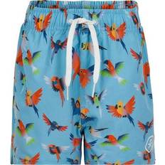 18-24M Badebukser Color Kids Kid's UPF 30+ Swim Shorts - Blue Fish (720033-1141)