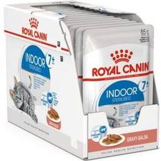 Royal canin ageing Royal Canin Indoor Ageing 7+ Gravy