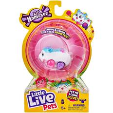 Moose little live pets • Compare & see prices now »