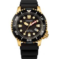 Citizen Eco-Drive - Men Wrist Watches Citizen Promaster Dive (BN0152-06E)