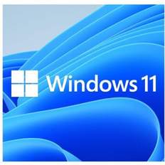 64-Bit Betriebssystem Microsoft Windows 11 Pro Eng (64-bit OEM)