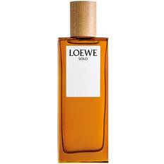 Loewe Parfymer Loewe Solo Men's Perfume 100ml