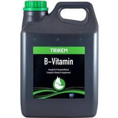 Trikem B Vitamin 1L