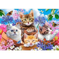 Castorland Puslespill Castorland Kittens with Flowers 500 Pieces