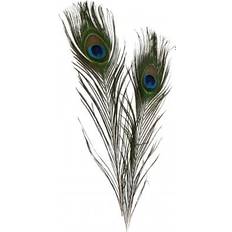 Fjær Peacock feathers, L: 25-30 cm, 10 pc/ 1 pack