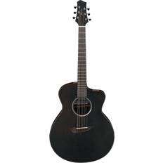 Ibanez Acoustic Guitars Ibanez JGM5