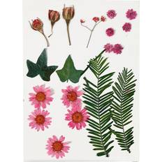 Creativ Company Pressed Flowers and leaves, light red, 19 asstd. 1 pack