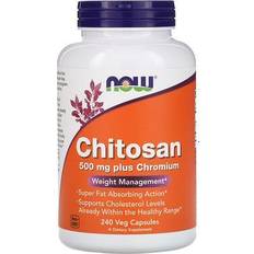 Now Foods Chitosan 500mg 240 Stk.