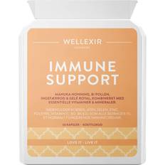 Wellexir Immune Support 60 Stk.