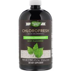 Nature's Way Chlorofresh Liquid Chlorophyll Mint 16 fl oz