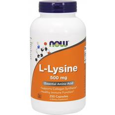 Now Foods Amino Acids Now Foods L-Lysine 500 mg 250 Capsules