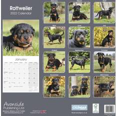 Veggkalendere Rottweiler 2022 Wall Calendar