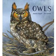 Owls Jeannine Chappell 2022 Wall Calendar