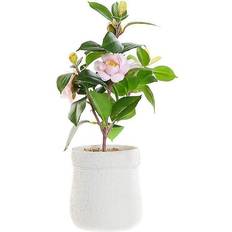 Dkd Home Decor ative Plant White Green Pink PVC EVA (23 x 18 x 38 cm) Künstliche Pflanzen
