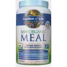Weight Control & Detox Garden of Life Raw Organic All-In-One Shake Vanilla 969g