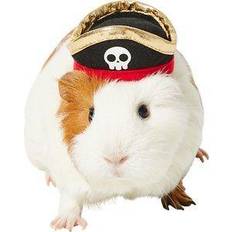 Pirate Guinea Pig Costume Hat