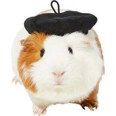 French Beret Guinea Pig Costume Hat
