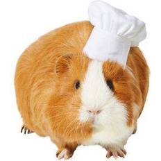 Chef Guinea Pig Costume Hat