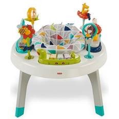 Fisher Price 2 in 1 Sit to Stand Activity Center