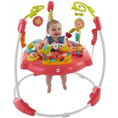 Baby Toys Fisher Price Pink Petals Jumperoo