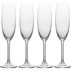 Mikasa Julie Champagne Glass 7.777fl oz 4