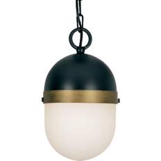 Black Ceiling Lamps Crystorama Capsule Small 1-Light Pendant BLACK/GOLD Pendant Lamp 6"